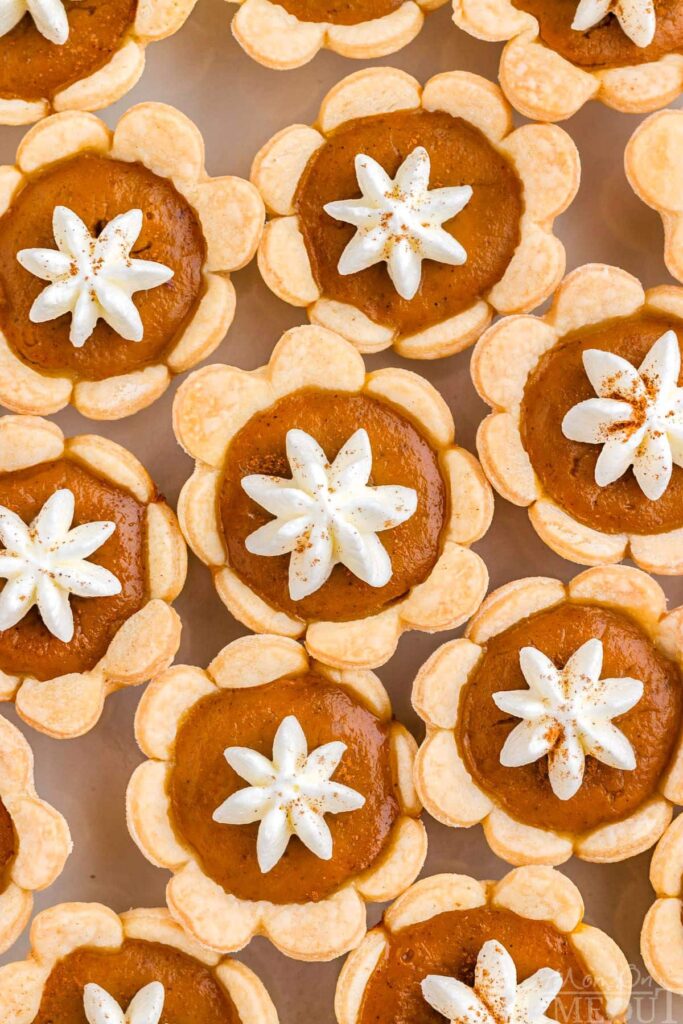 mini pumpkin pies
