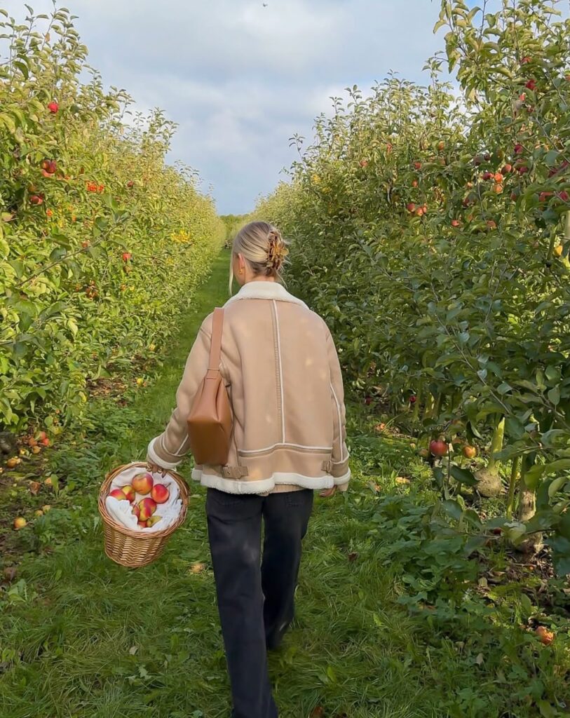 apple picking outfit