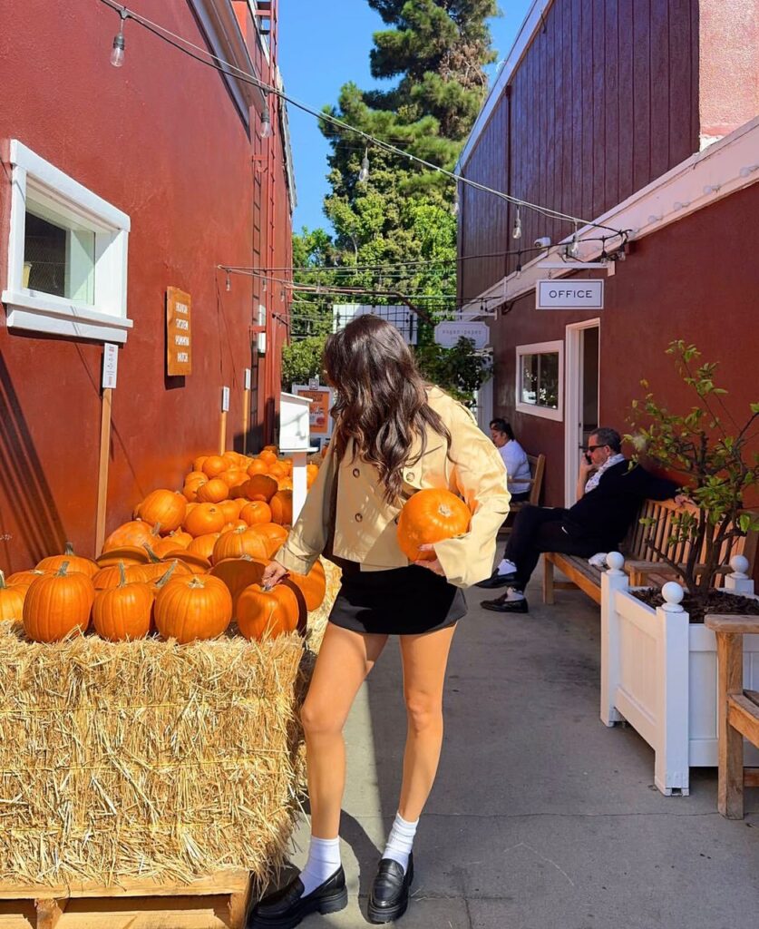 pumpkin patch outfit ideas